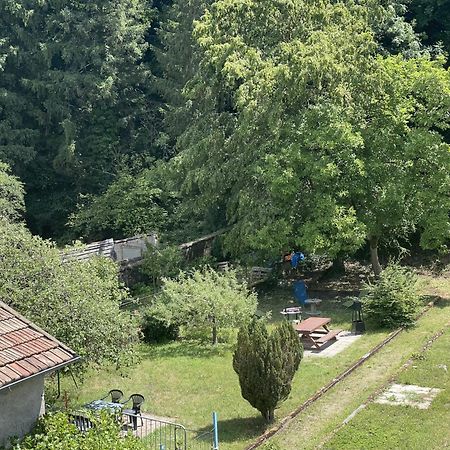 Appartement « Chez Falco » Vue Sur Le Chateau Schirmeck Luaran gambar