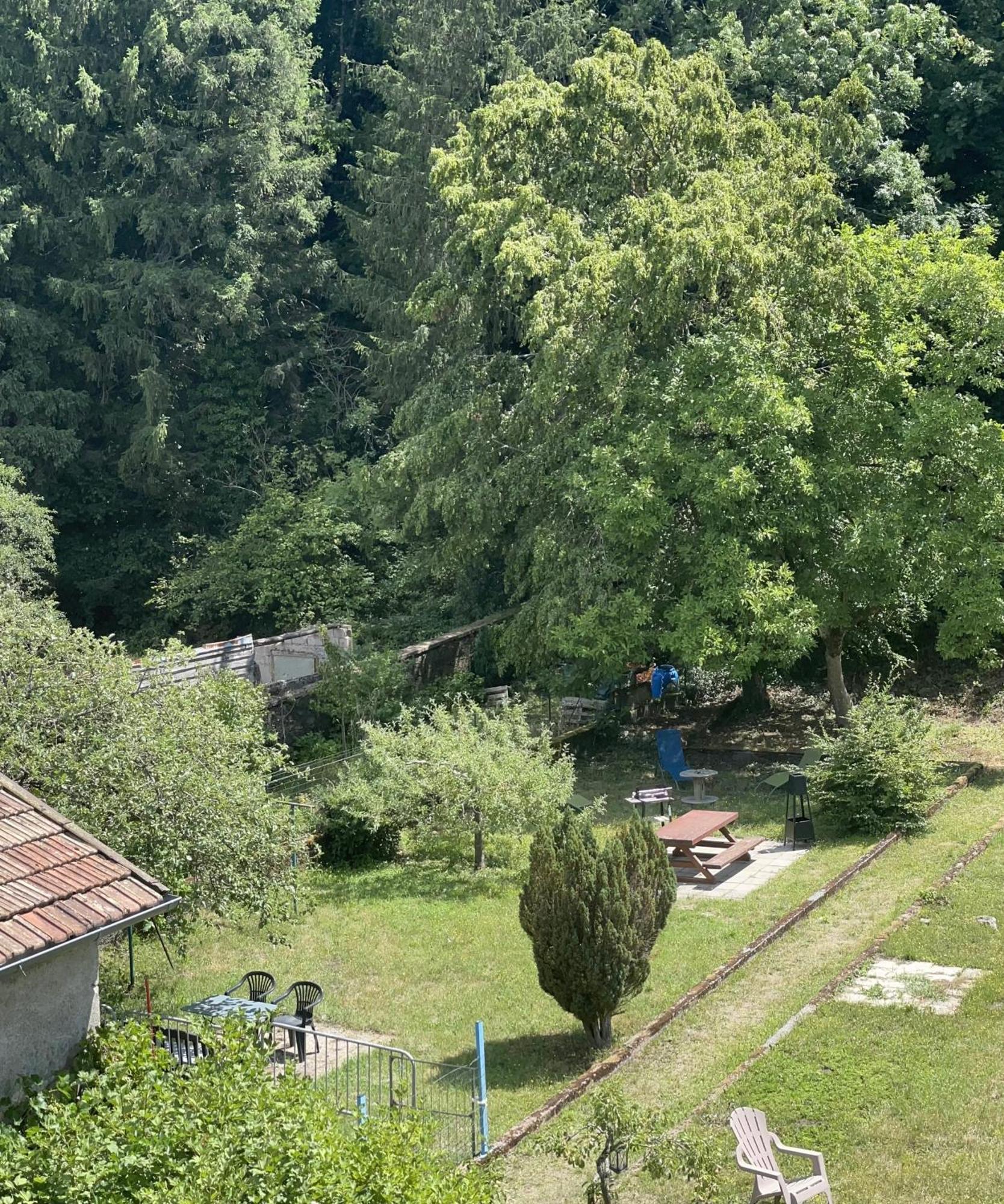 Appartement « Chez Falco » Vue Sur Le Chateau Schirmeck Luaran gambar